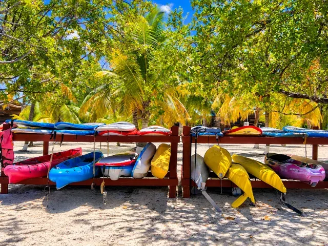 Colorful kayaks ready beneath island palms
