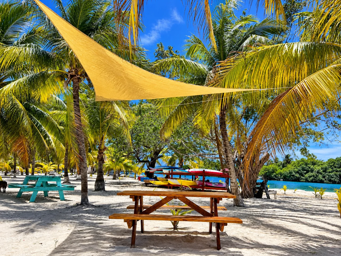 Shaded picnic table among the palms